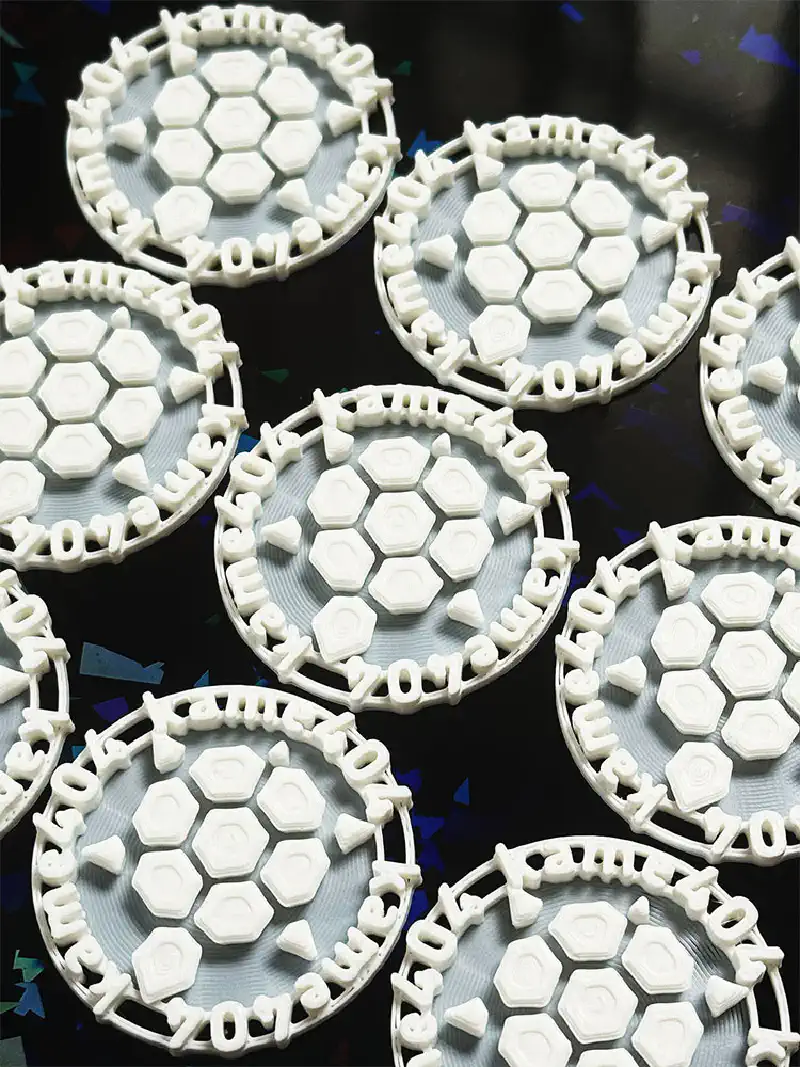 去年のチップを横から見たところ。薄い土台が半透明になっている